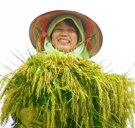 Ảnh Lê Thị Kim Chi