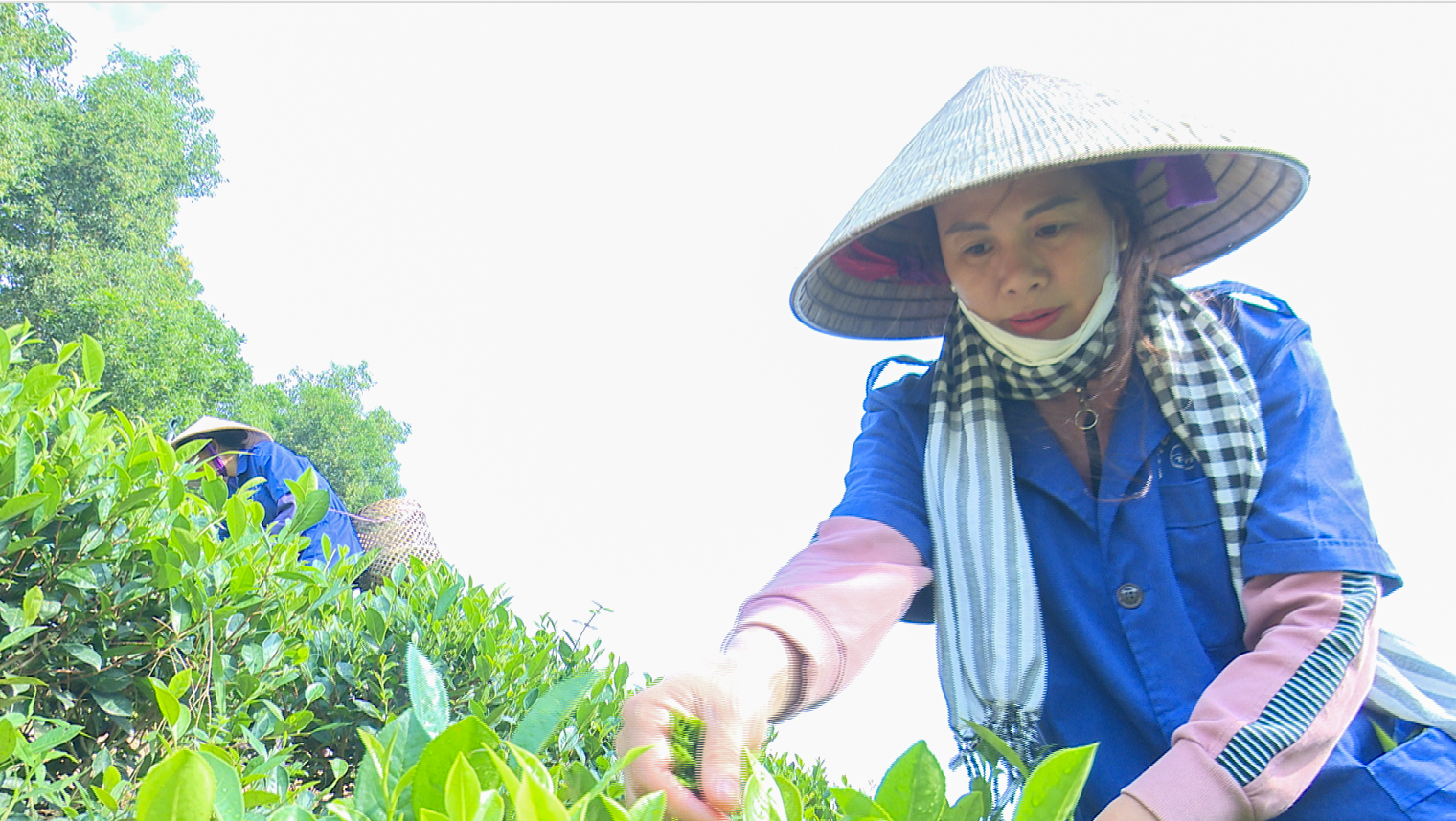 Ảnh Nông Thị Sim